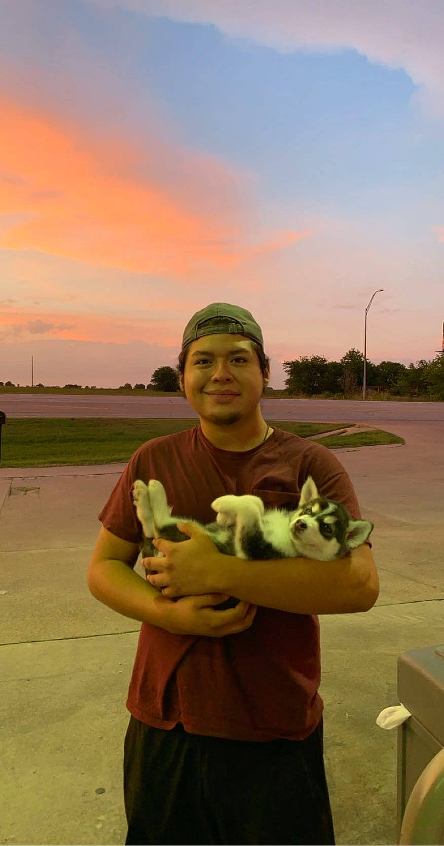 Aero joined the competition — help win amazing prizes! canidae, non_sporting_group, siberian_husky