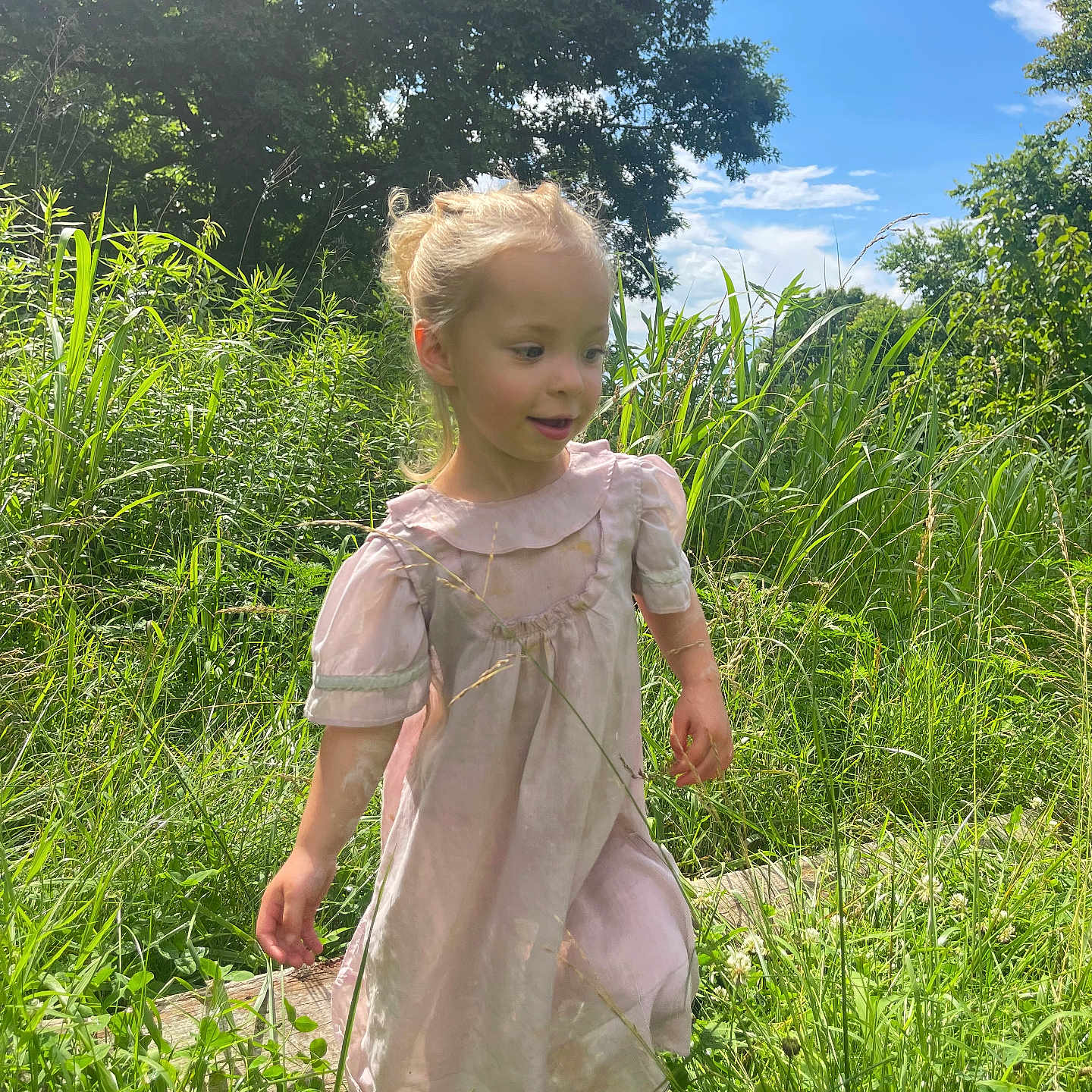Eliza joined the competition — help win amazing prizes! blue_sky, casual, child, daytime, girl, grass, greenery, happy, meadow, nature, outdoor, pink_dress, playful, portrait, summer, sunlight, sunny, trees, walking, young