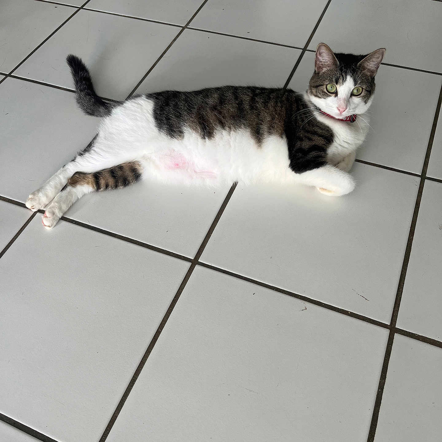 Simone