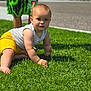baby, babycrawling, bodypart, boy, child, clothing, crawling, face, finger, grass, hand, head, lawn, male, person, photography, plant, portrait, shorts, t_shirt