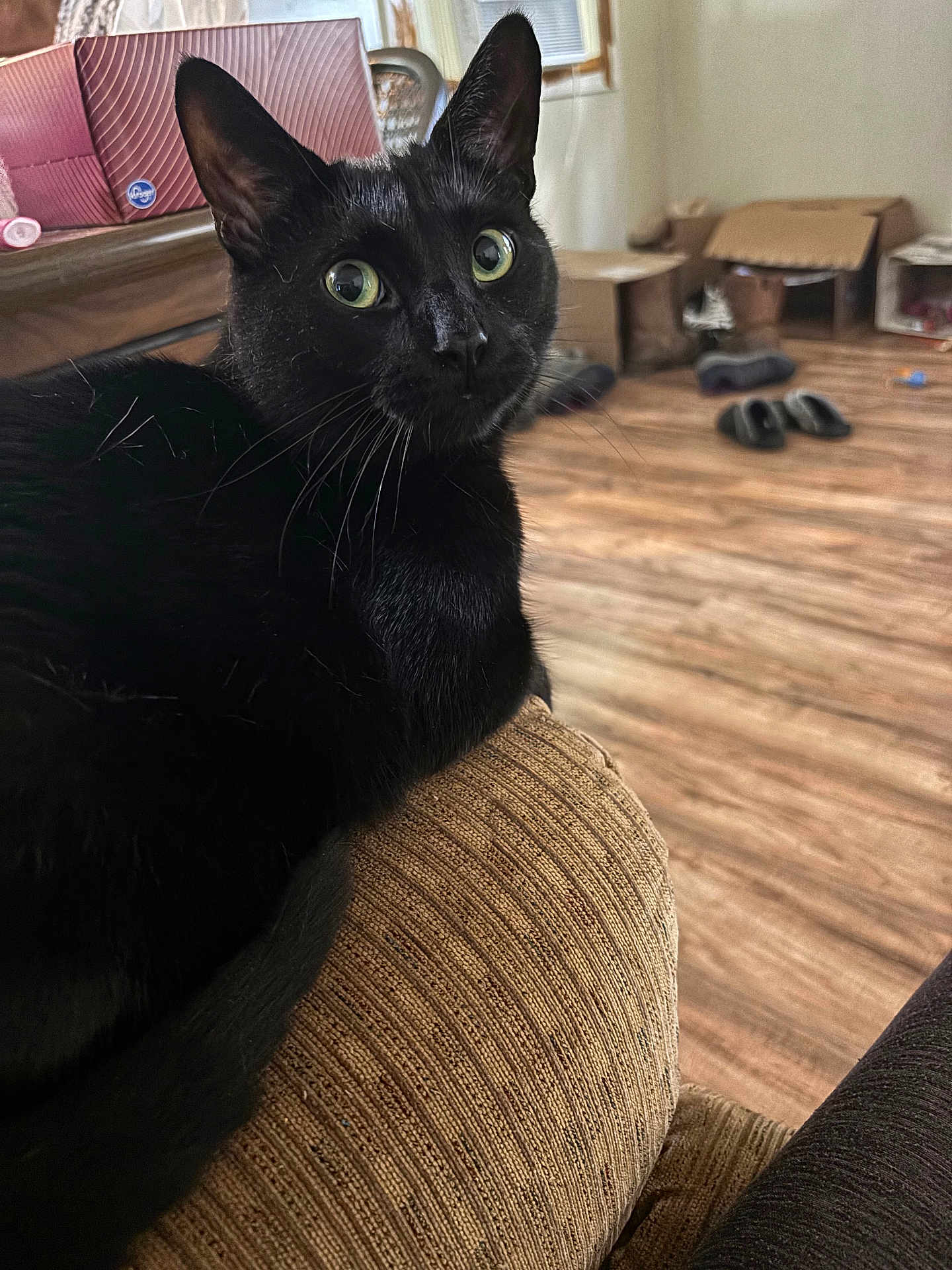 Bubby