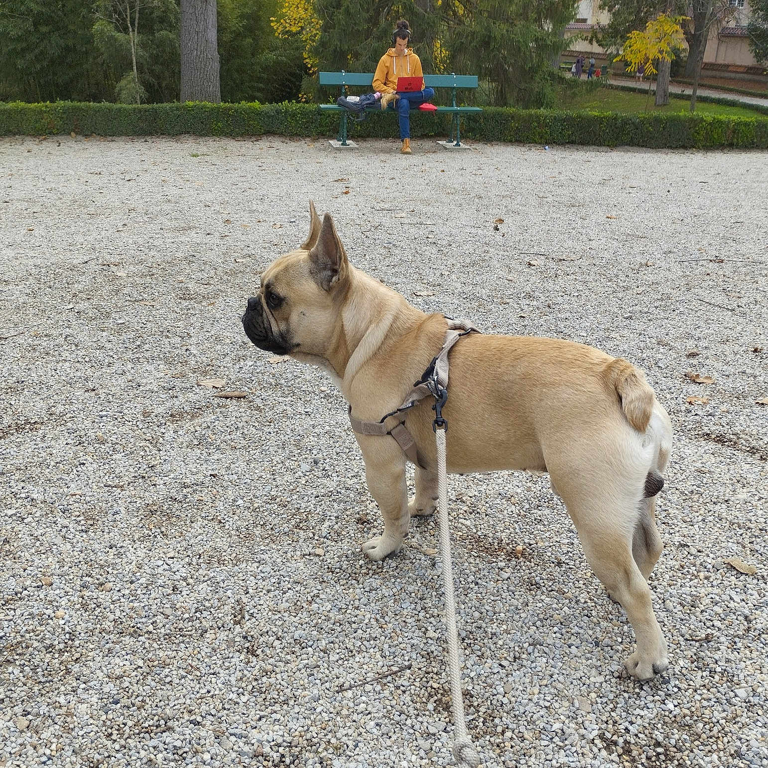 Sancho
