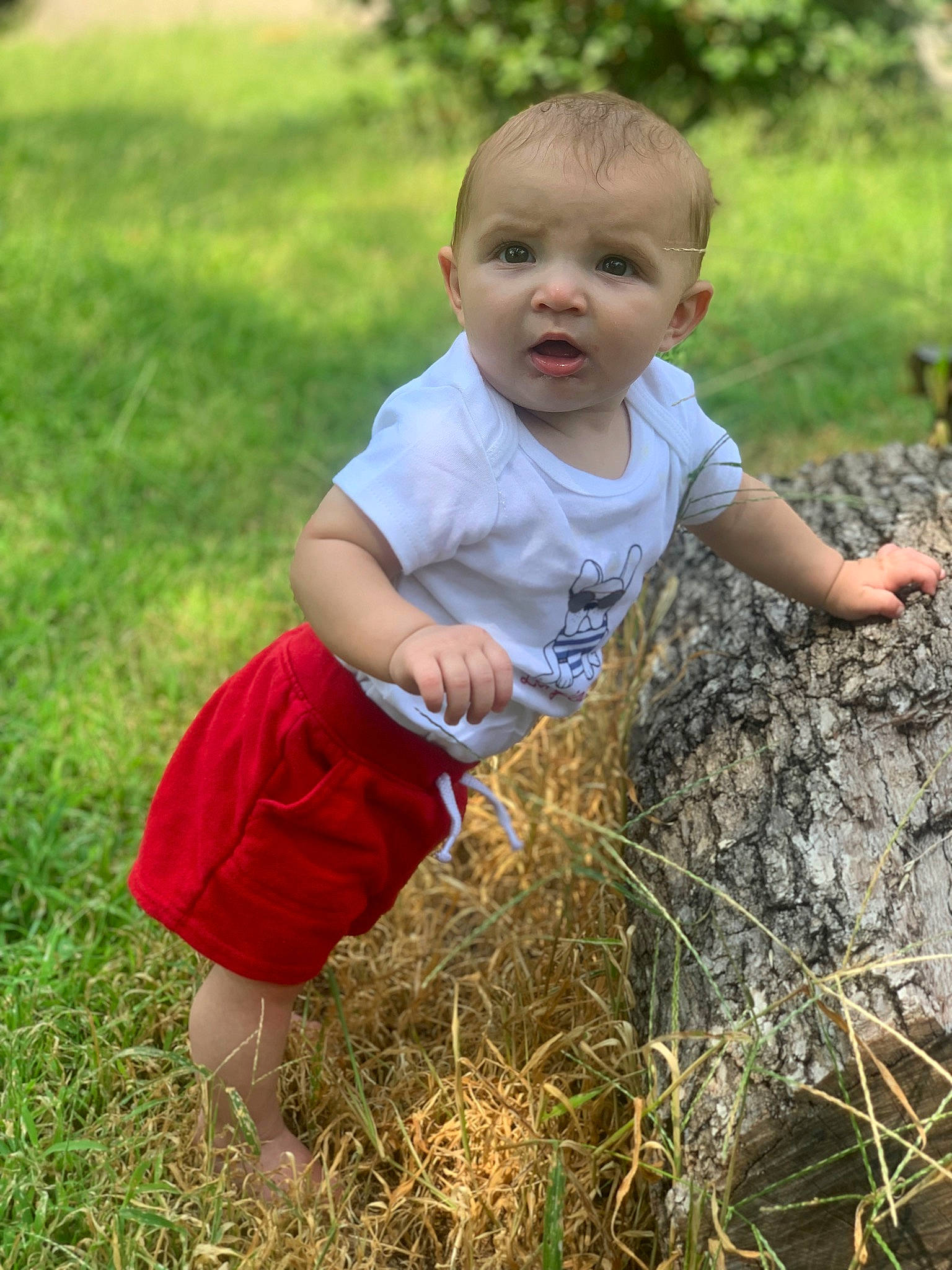 Everett joined the competition — help win amazing prizes! agriculture, baby, baby_toddler_clothing, child, field, fun, garden, grass, grass_family, grassland, hairstyle, happy, people_in_nature, person, plant, prairie, sitting, soil, t_shirt, toddler