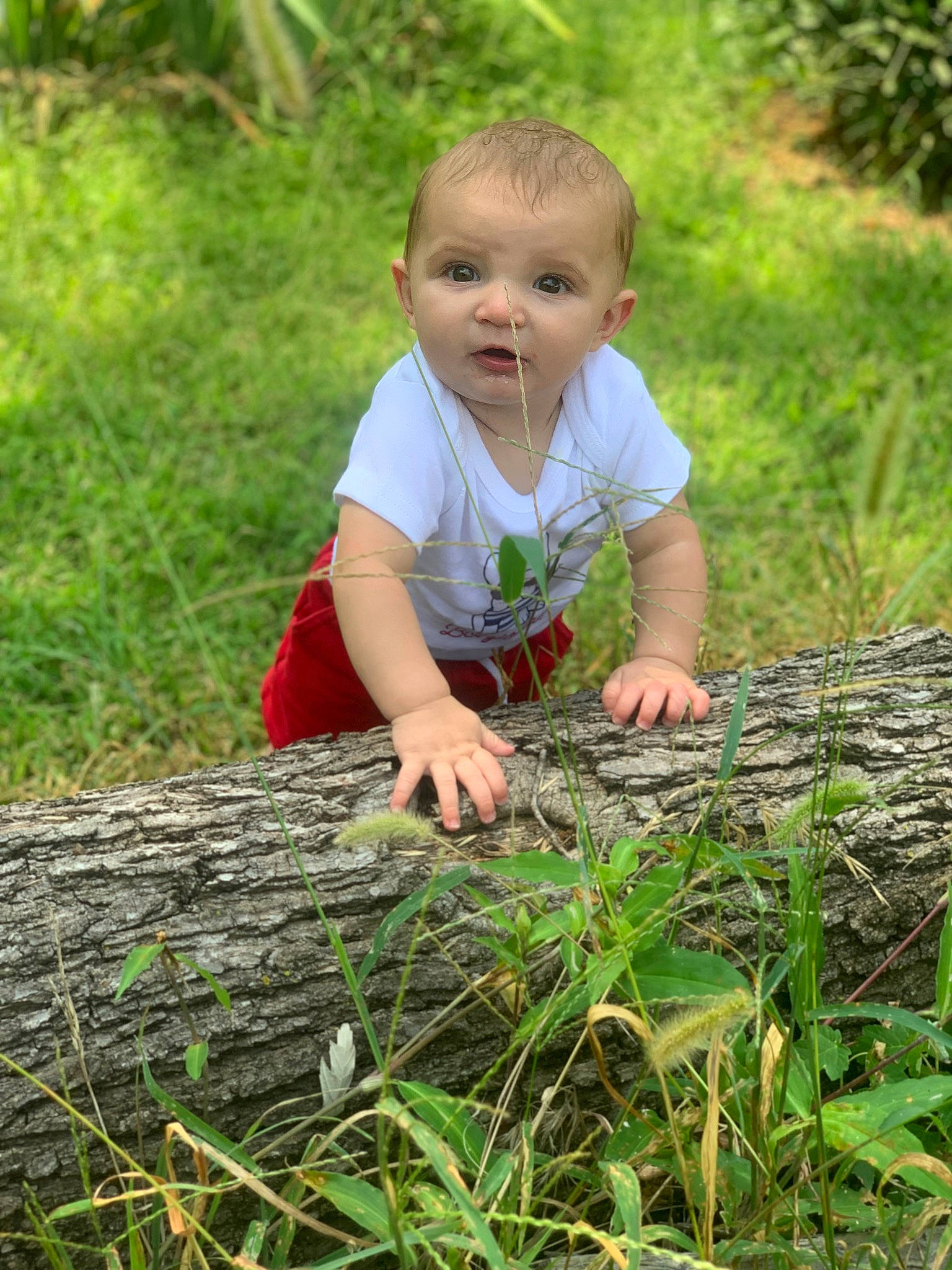 Everett joined the competition — help win amazing prizes! baby, baby_toddler_clothing, botany, dress, grass, grass_family, groundcover, happy, lawn, mammal, meadow, natural_environment, nature, people_in_nature, person, plant, terrestrial_plant, toddler, tree, vertebrate
