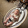 Asher joined the competition — help win amazing prizes! baby, infant, baby_rocker, carpet, dog, sleeping_dog, kitten, cat, pet, indoor, furniture, wooden_table, toy, baby_clothing, baby_buckle, foot, floor, animal, cozy, home