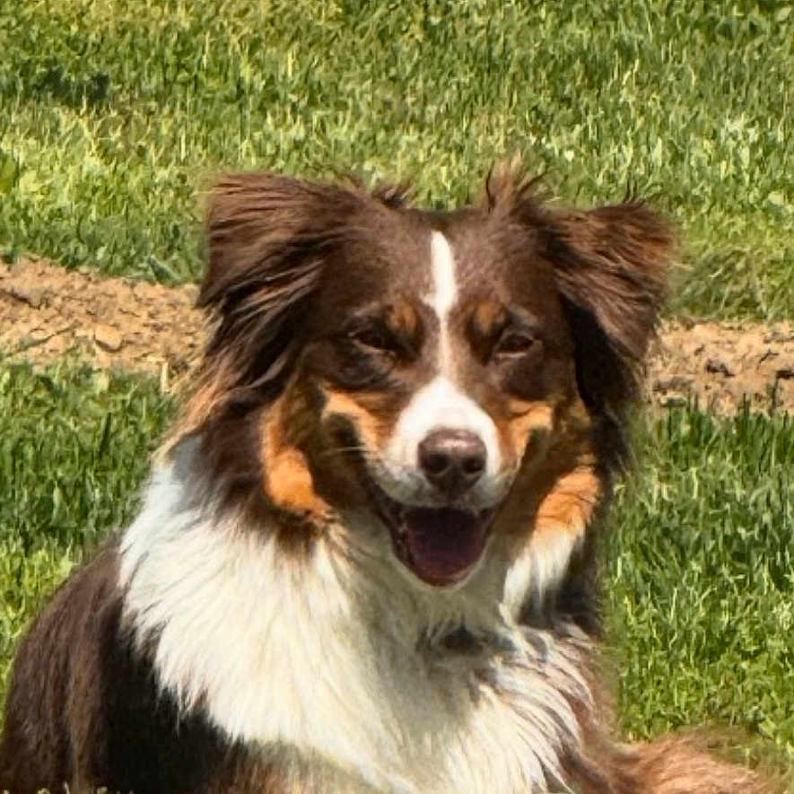 Ruby