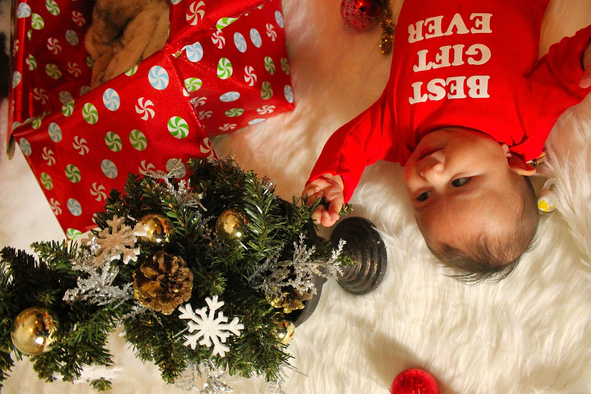 Sergio joined the competition — help win amazing prizes! baby_toddler_clothing, christmas, christmas_decoration, christmas_eve, christmas_ornament, christmas_tree, event, flower_arranging, happy, holiday, holiday_ornament, jewellery, ornament, pattern, person, plant, red, rose, toddler, tradition