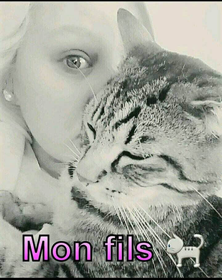 Pumba participe au concours pour gagner de l'argent avec cette photo : black_and_white, cat, domestic_short_haired_cat, eye, facial_expression, felidae, forehead, friendship, happy, head, human, laugh, love, nose, photo_caption, photography, small_to_medium_sized_cats, smile, snout, whiskers
