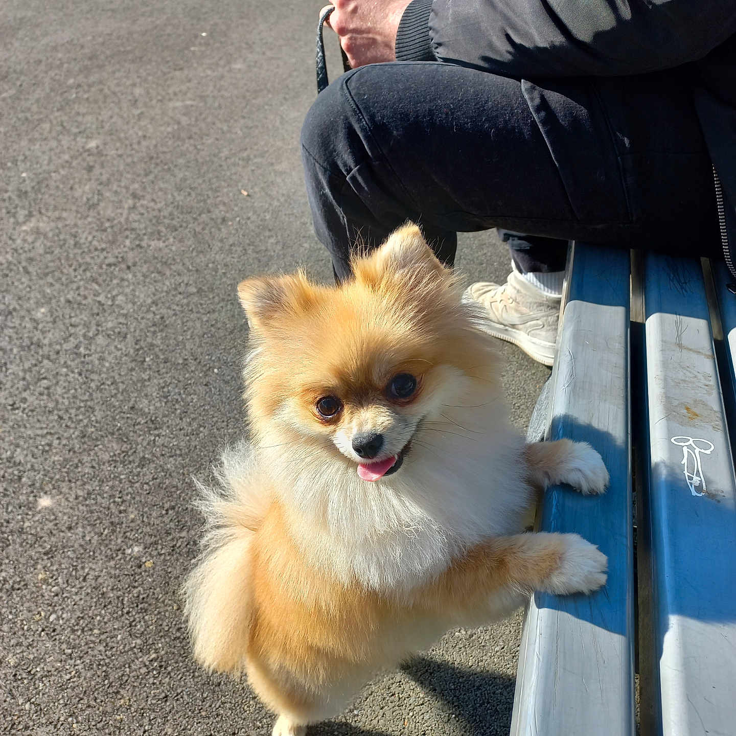 Vanille