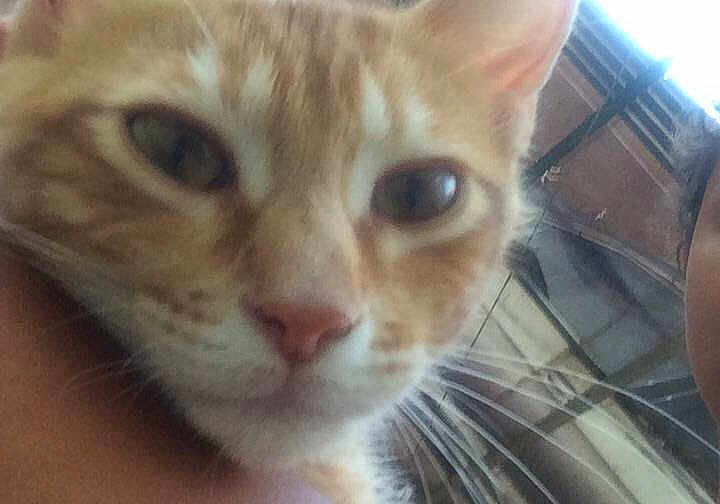 Luky