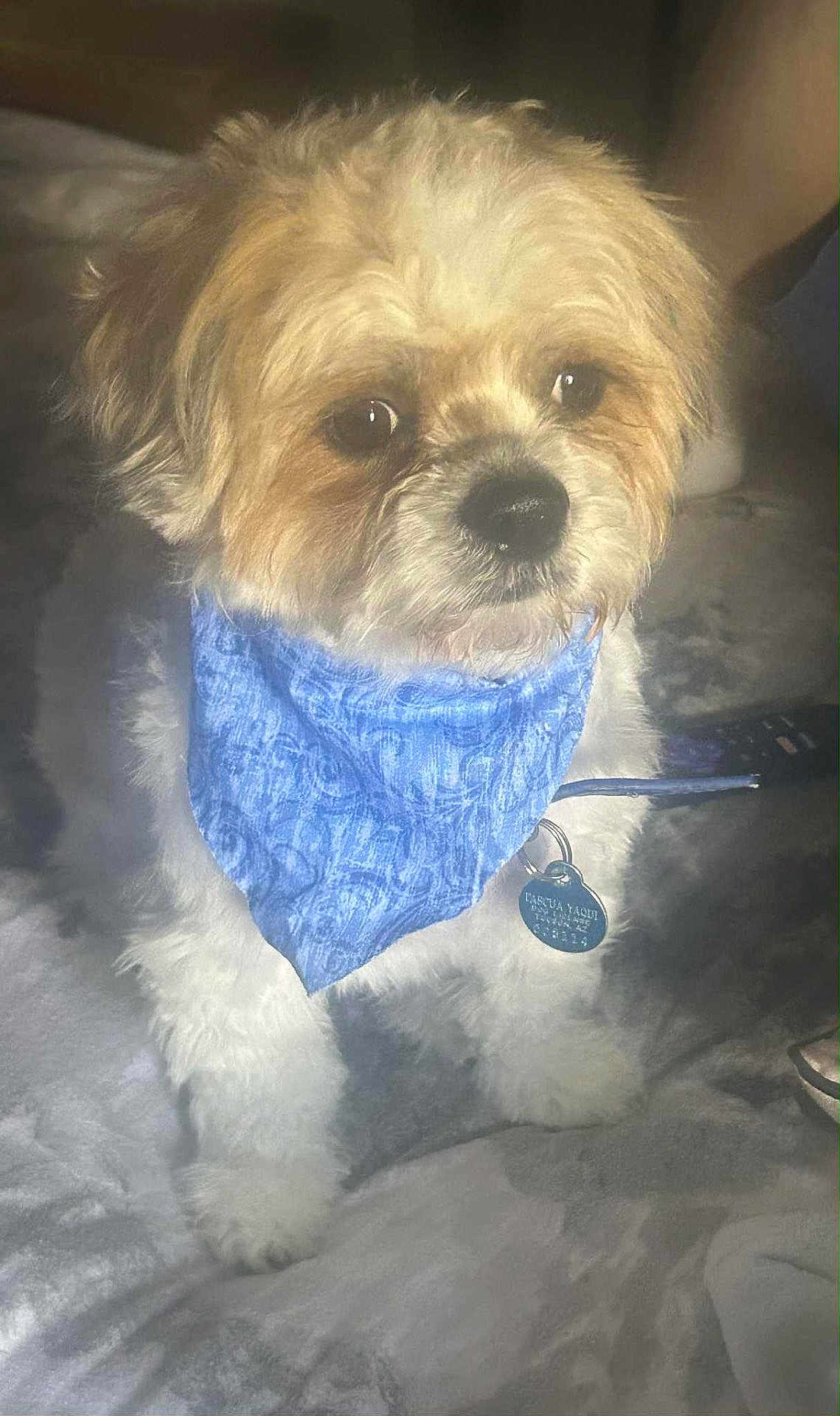 Paxton