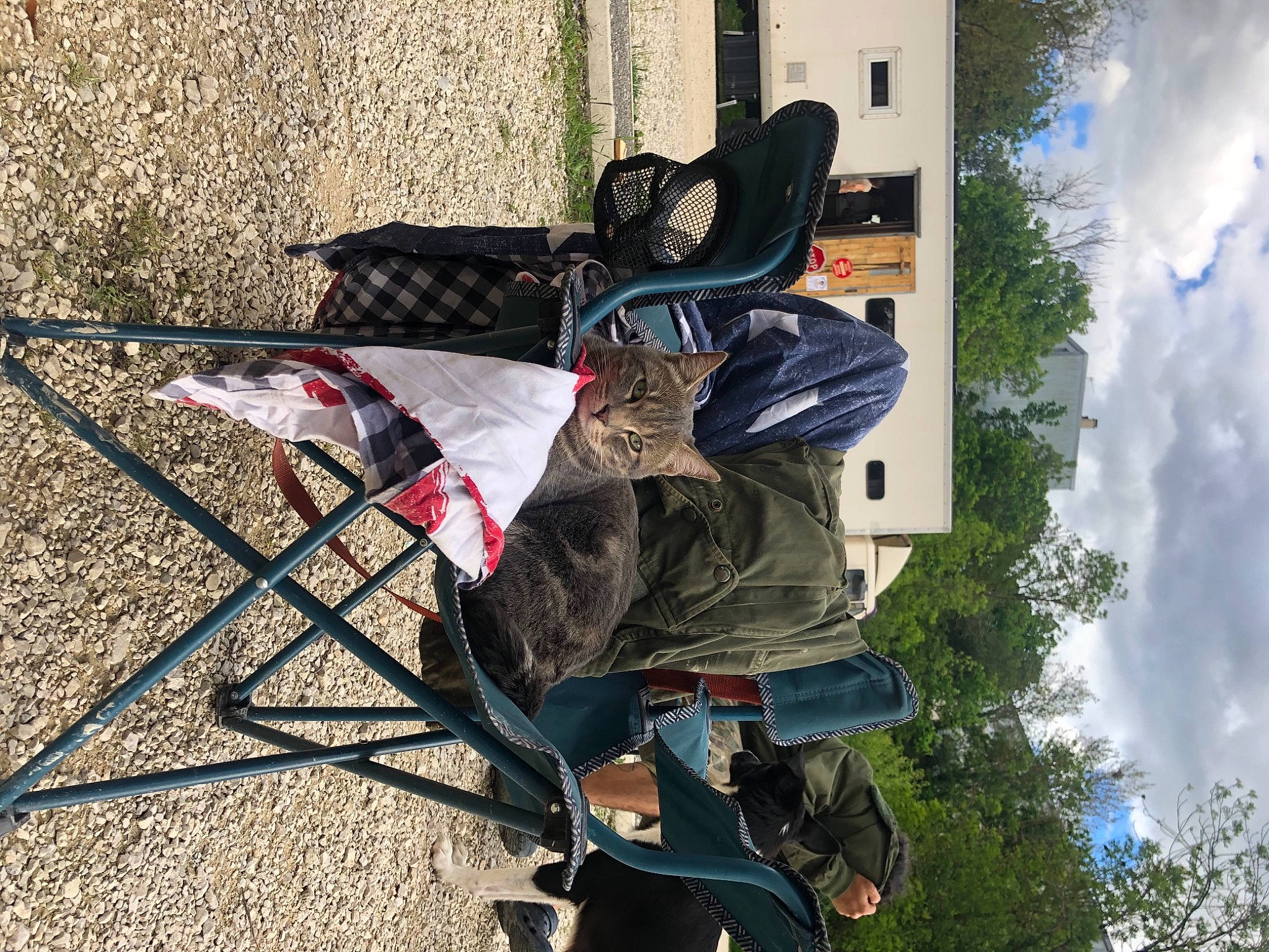 Keke a rejoint le concours — aidez-le/la à gagner de superbes lots ! art, auto_part, bicycle_tire, cloud, leisure, recreation, sky, soil, tree