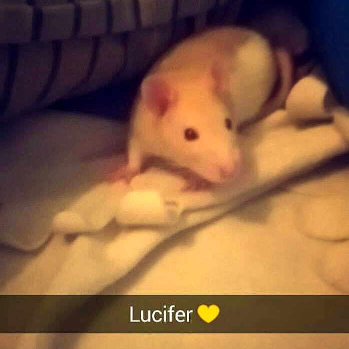 Lucifer