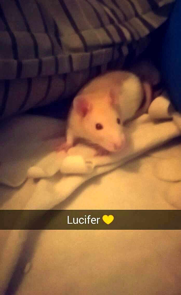 Lucifer