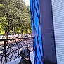 dog, black_dog, outdoor, sidewalk, trees, parked_cars, blue_wall, geometric_pattern, happy, tongue_out, sunny, daytime, fence, urban, pet, animal, canine, building, street, smiling