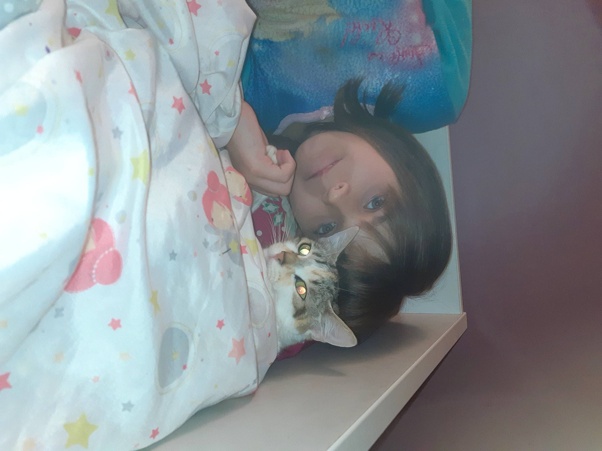 Amaya participe au concours pour gagner de l'argent avec cette photo : aqua, baby, baby_products, baby_toddler_clothing, bedding, cat, day_dress, felidae, linens, nightwear, person, small_to_medium_sized_cats