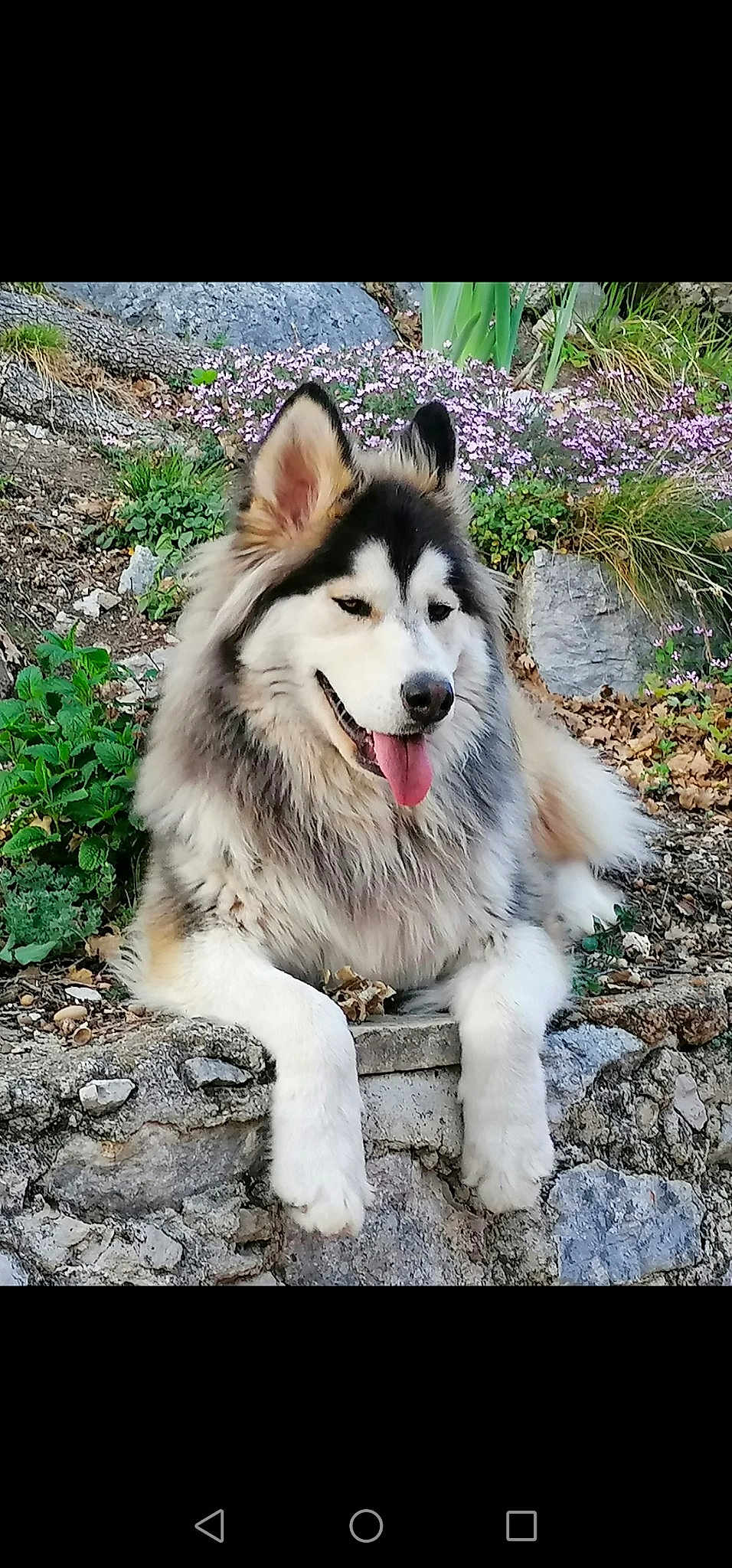 Billy