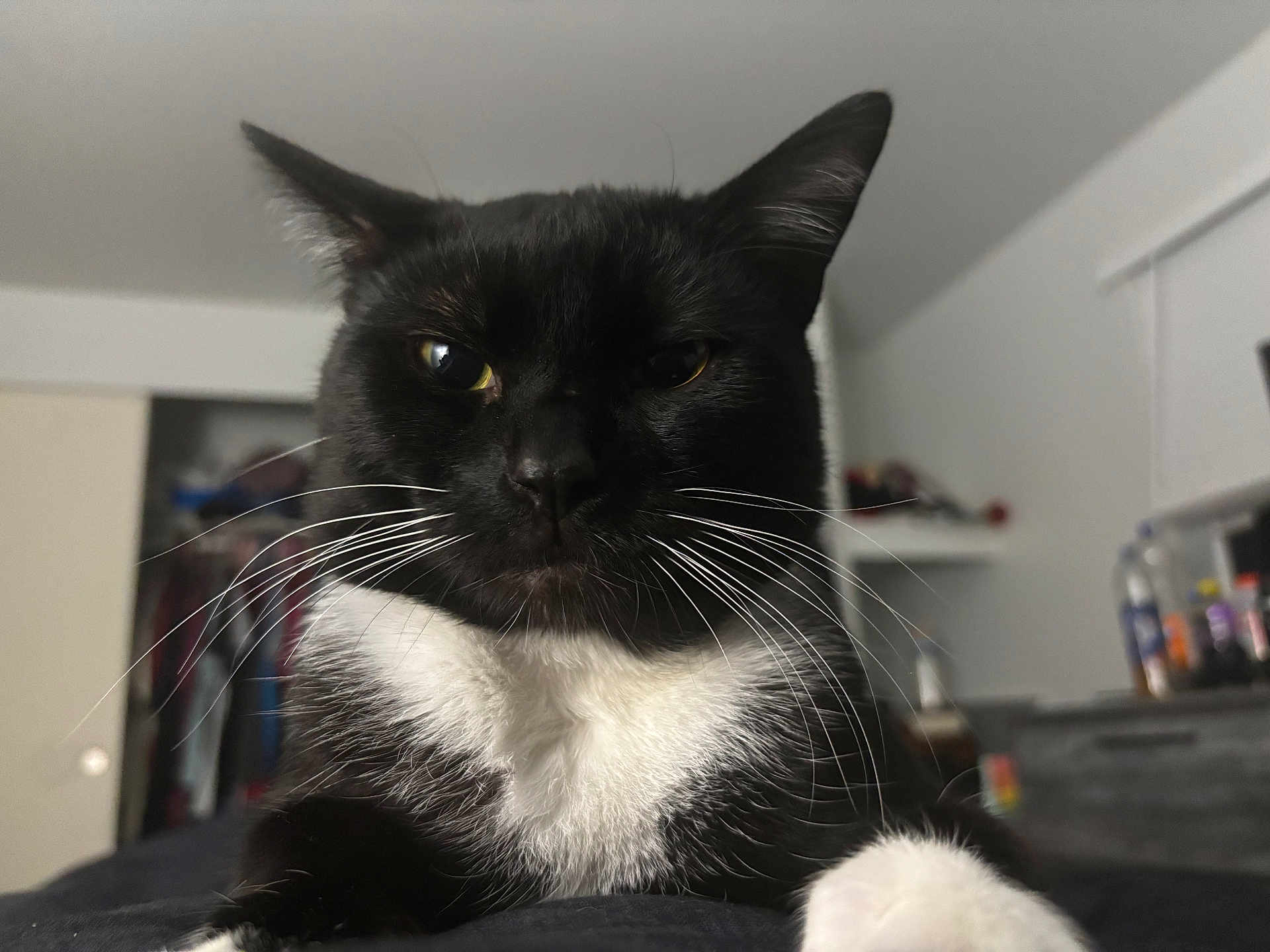 Max