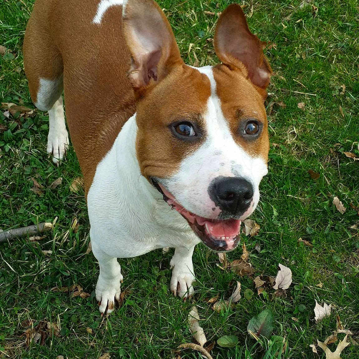 Gracie Mae