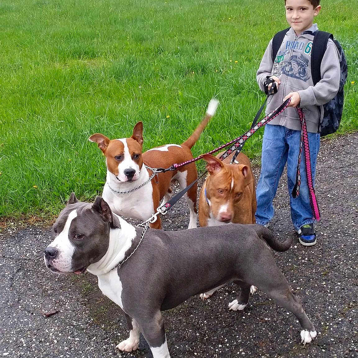 Gracie Mae Cicaro And Max joined the competition — help win amazing prizes!