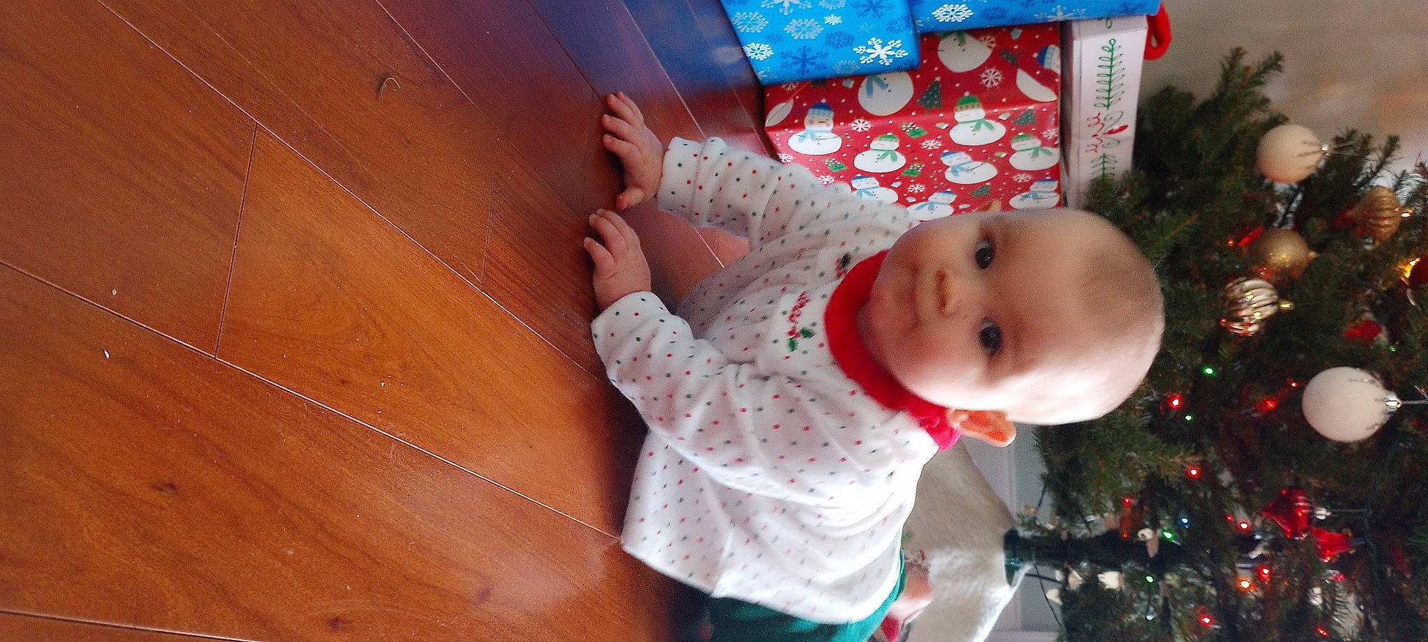 Elizabeth is registered to the contest to win money with this photo: baby, baby_products, baby_safety, baby_toddler_clothing, child, christmas_tree, event, flooring, fun, happy, hardwood, hat, holiday, pattern, person, room, smile, toddler, tree, wood