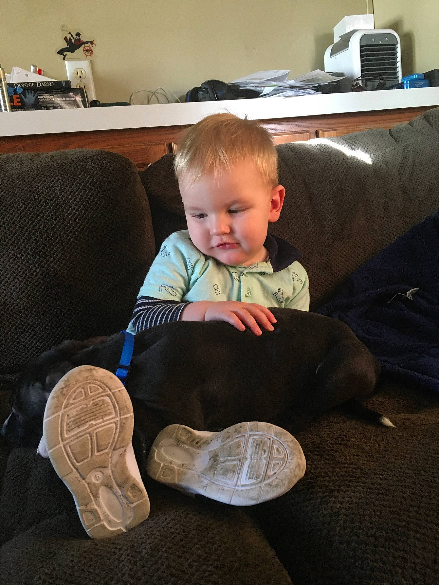 Niall joined the competition — help win amazing prizes! baby, child, footwear, leg, person, play, shoe, sitting, toddler, vacation, wood