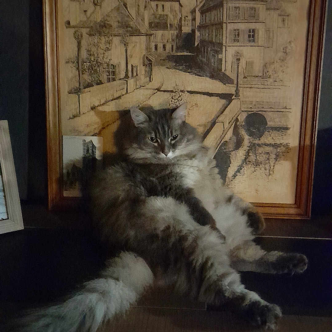 Minette a rejoint le concours — aidez-le/la à gagner de superbes lots ! animal, cat, cityscape, cozy, dim_lighting, drawing, feline, fluffy, framed_art, home, indoor, long_tail, lounging, pet, portrait, relaxed, sitting, tabby, vintage, wooden_surface