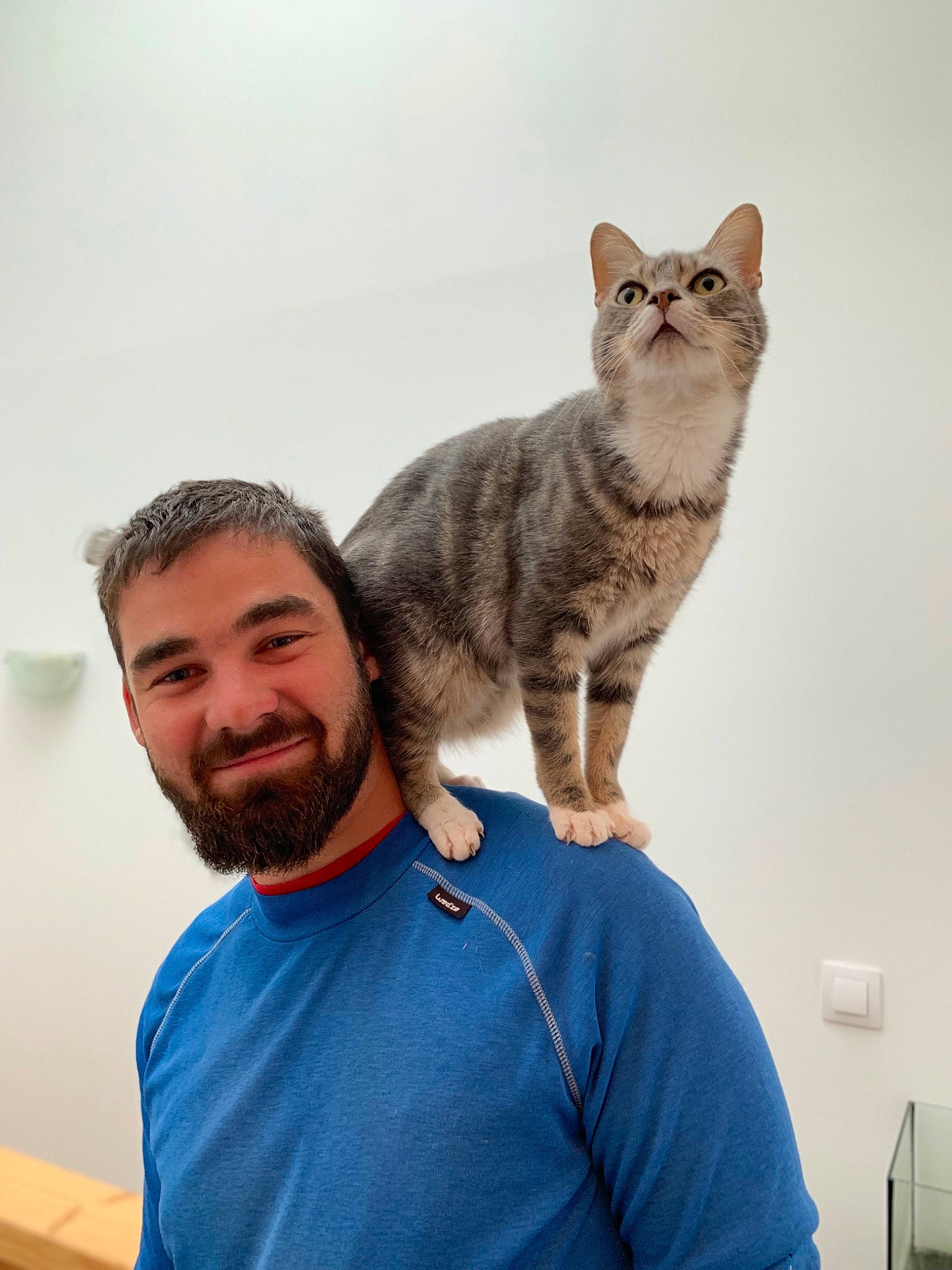 Kovou a rejoint le concours — aidez-le/la à gagner de superbes lots ! beard, carnivore, cat, comfort, ear, eye, face, felidae, gesture, glasses, grey, hair, happy, head, small_to_medium_sized_cats, smile, snout, t_shirt, tail, whiskers