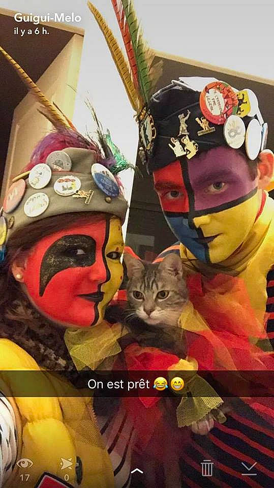 Kovou a rejoint le concours — aidez-le/la à gagner de superbes lots ! carnivore, cat, costume, costume_hat, crown, event, felidae, fictional_character, fur, hat, headgear, holiday, jester, mask, masque, personal_protective_equipment, photo_caption, small_to_medium_sized_cats, tradition, whiskers