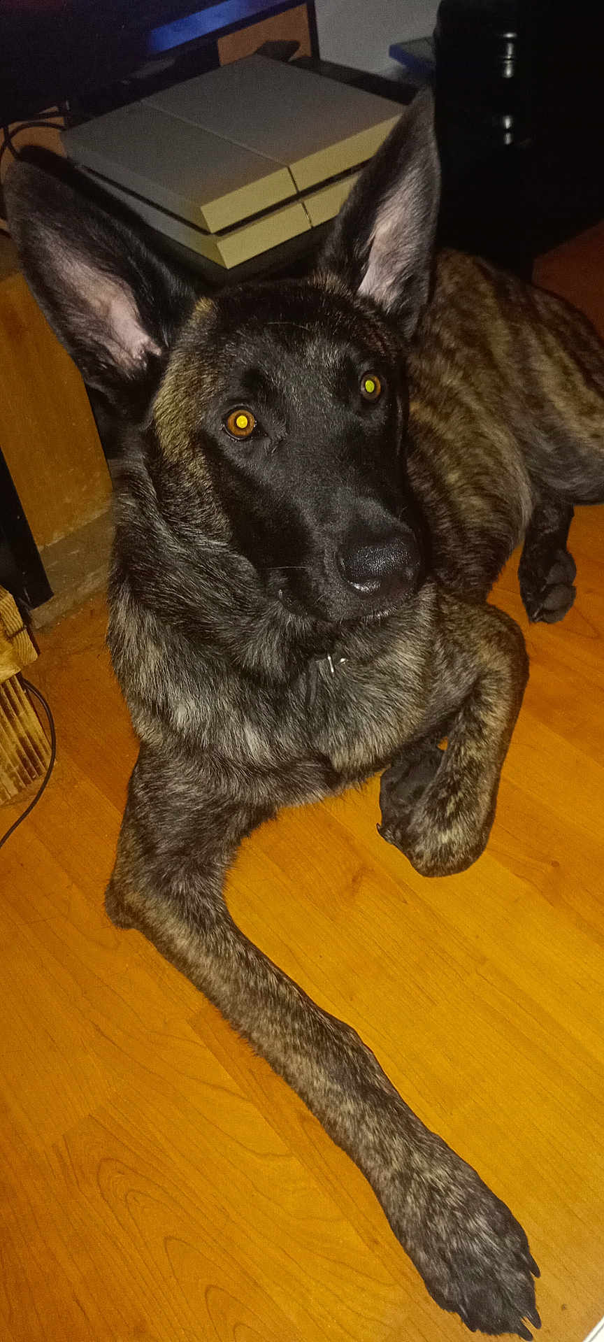Yami