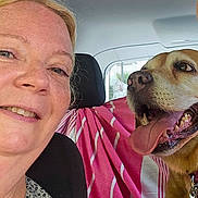 Havanna a rejoint le concours — aidez-le/la à gagner de superbes lots ! woman, dog, car, selfie, smiling, happy, portrait, pet, tongue, open_mouth, seated, indoors, vehicle, pink_clothing, floral_shirt, leash, collar, close_up, people, animal
