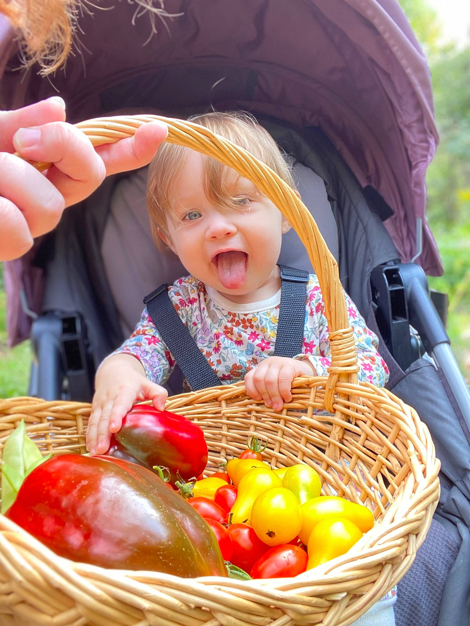 Liliana is registered to the contest to win money with this photo: baby, baby_products, baby_toddler_clothing, basket, child, event, fun, grass, happy, holiday, local_food, natural_foods, people, people_in_nature, person, product, recreation, sitting, storage_basket, toddler