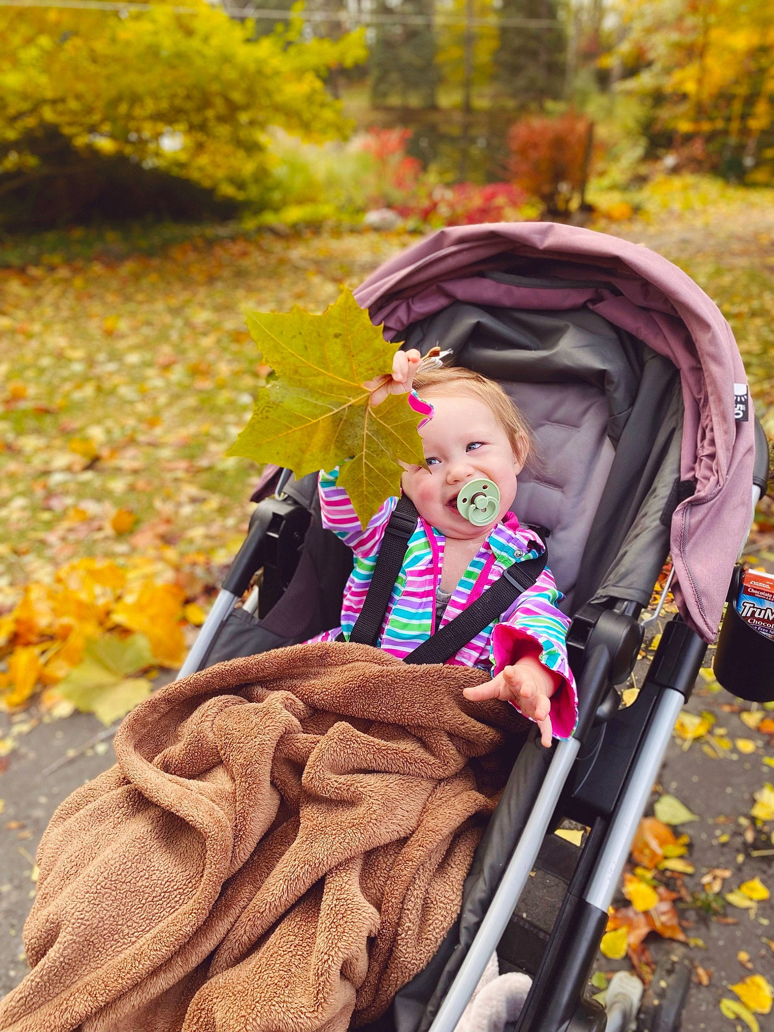 Liliana is registered to the contest to win money with this photo: baby, baby_carriage, baby_products, child, costume, deciduous, event, fun, grass, leaf, leisure, magenta, people_in_nature, person, plant, public_space, recreation, toddler, tradition, tree