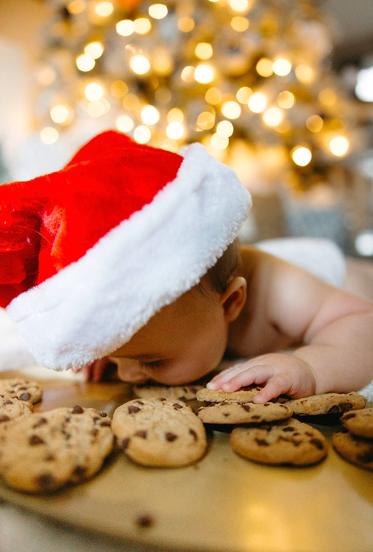 Winston joined the competition — help win amazing prizes! baked_goods, baking, biscuit, bredele, comfort_food, confectionery, cookie, cuisine, dessert, dish, event, finger_food, food, happy, ingredient, lighting, nail, person, recipe, sweetness