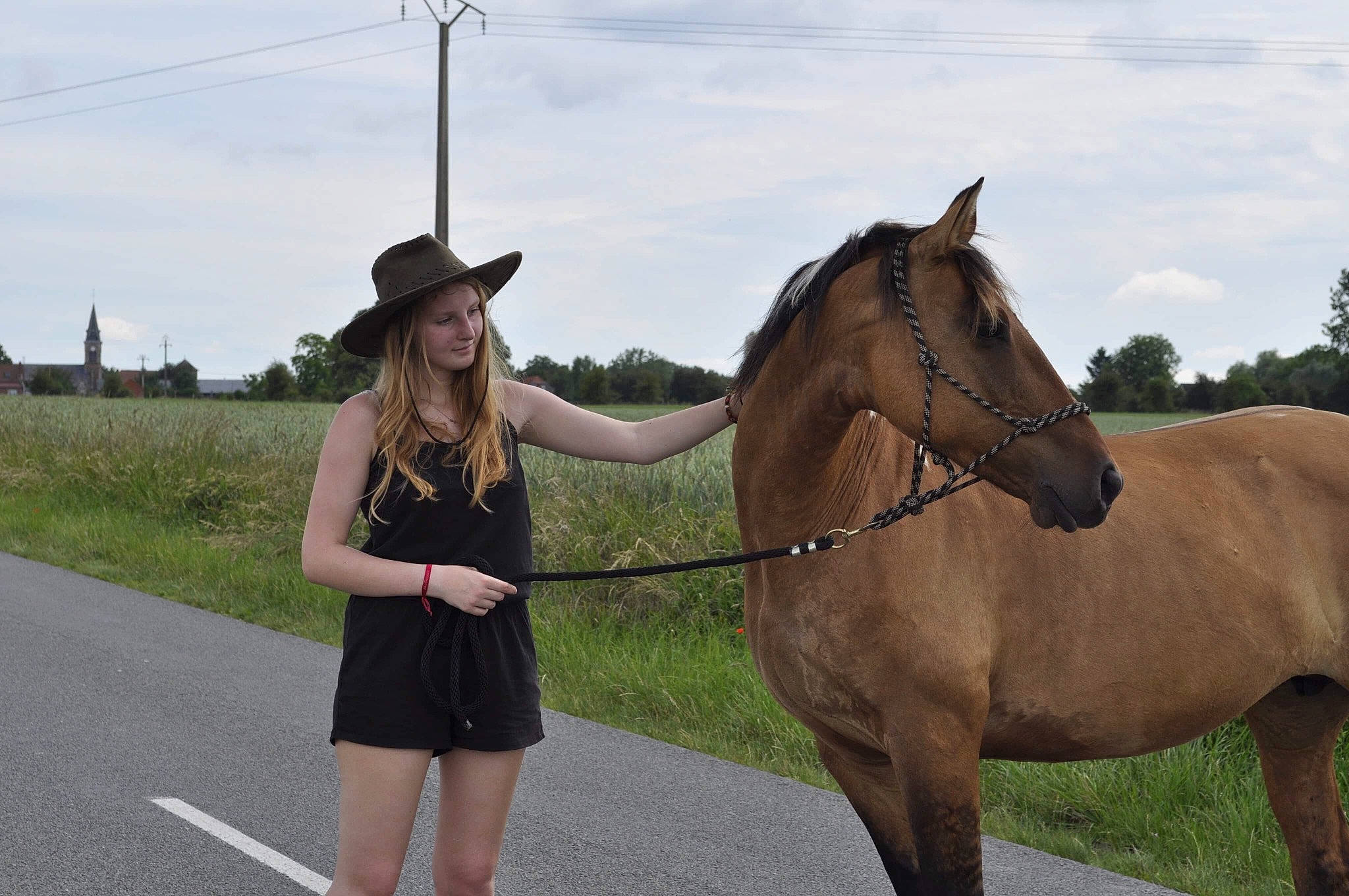 Havane participe au concours pour gagner de l'argent avec cette photo : bridle, halter, horse, horse_harness, horse_supplies, horse_tack, mammal, mane, mare, mustang_horse, pack_animal, recreation, rein, riding_instructor, stallion, working_animal