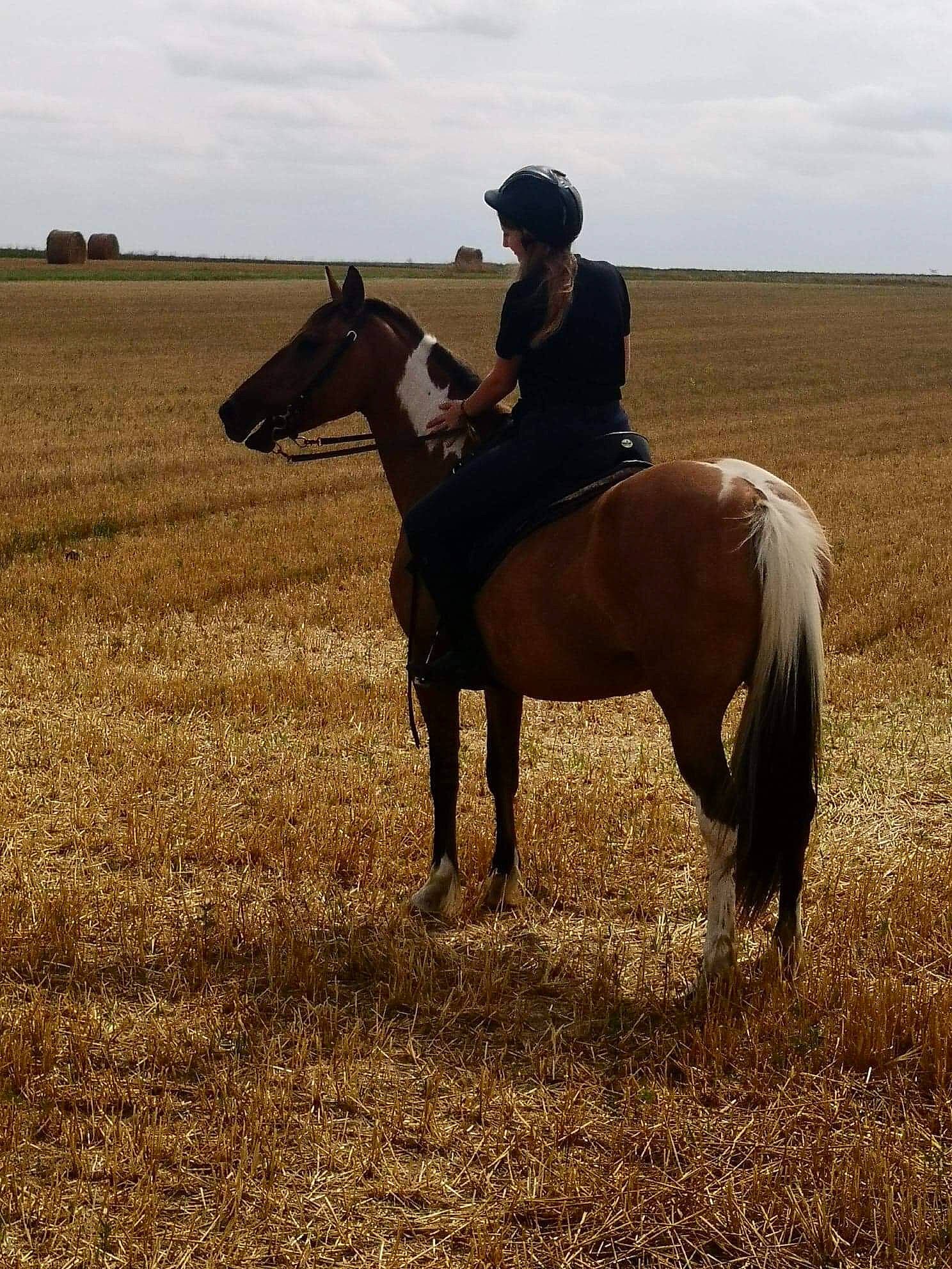 Havane participe au concours pour gagner de l'argent avec cette photo : animal_sports, bridle, ecoregion, equestrianism, grassland, horse, mammal, mane, mare, mustang_horse, pack_animal, pasture, ranch, recreation, rein, saddle, stallion, steppe, trail_riding, vertebrate