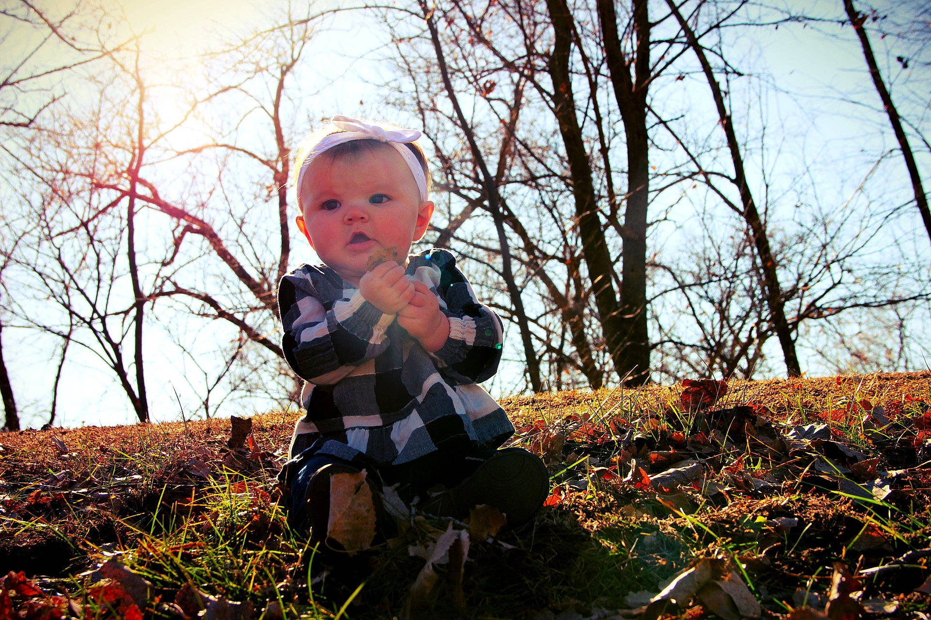 Chevelle is registered to the contest to win money with this photo: autumn, branch, child, fawn, forest, grass, leaf, people_in_nature, person, photography, plant, sitting, smile, toddler, tree, winter, woodland