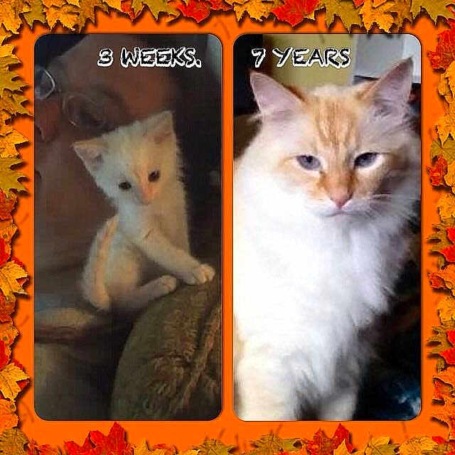 Little Man joined the competition — help win amazing prizes!