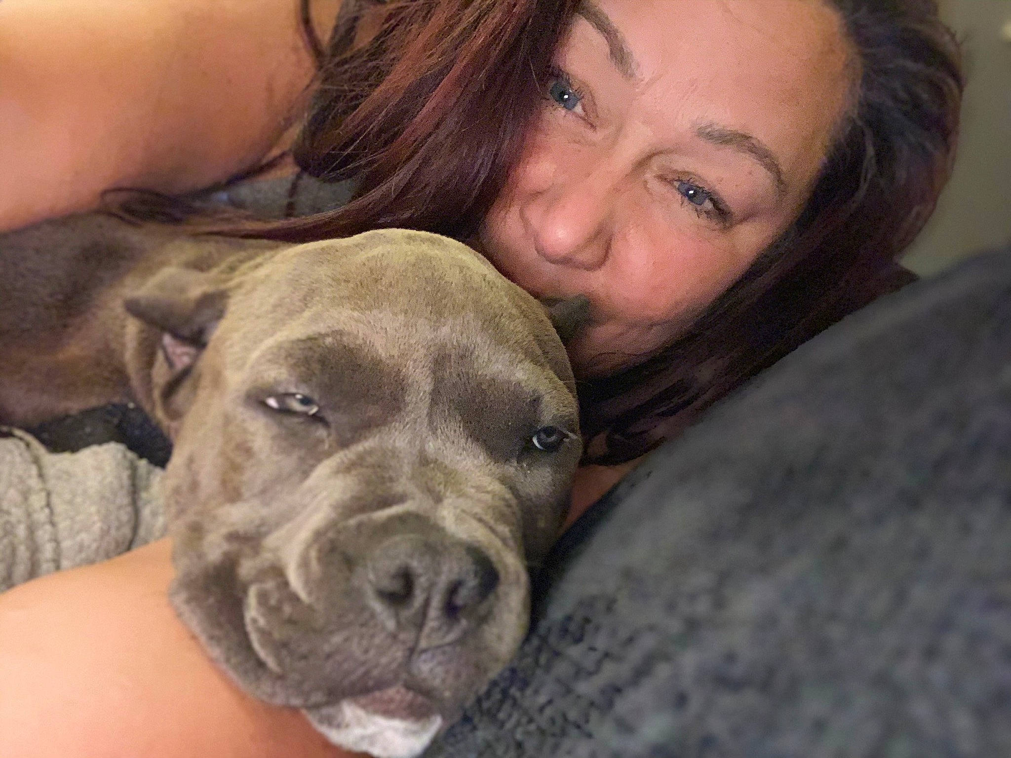 Lyric joined the competition — help win amazing prizes! american_pit_bull_terrier, american_staffordshire_terrier, bandog, boerboel, canidae, carnivore, companion_dog, dog, dog_breed, fawn, mammal, molosser, non_sporting_group, nose, perro_de_presa_canario, pit_bull, puppy_love, snout, staffordshire_bull_terrier, vertebrate