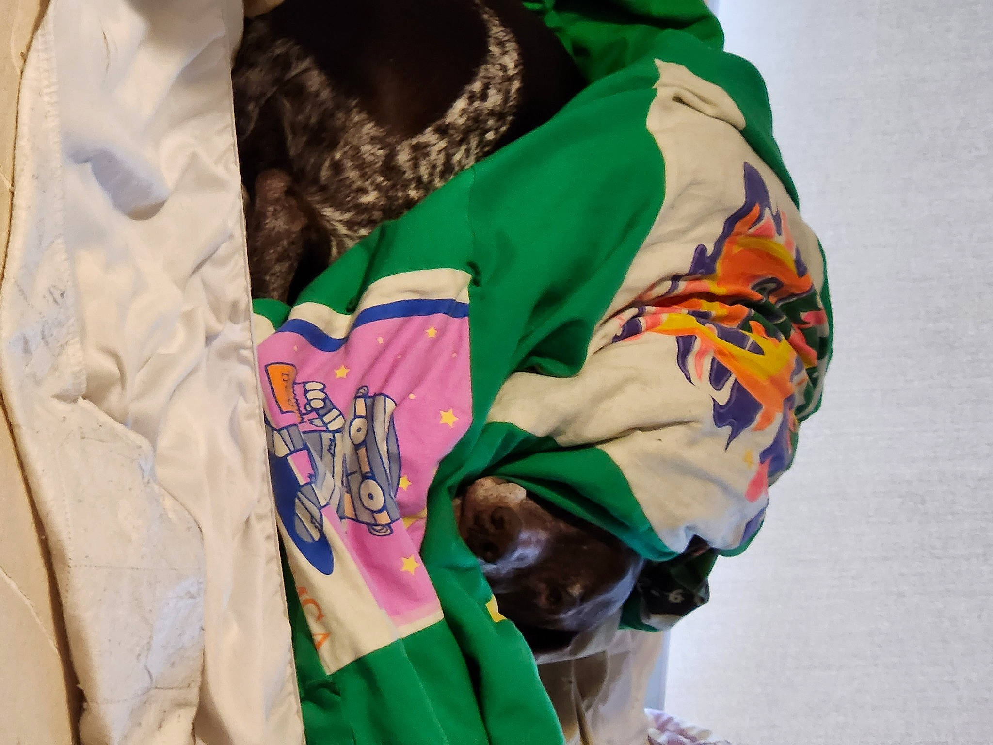 Carley joined the competition — help win amazing prizes! collar, event, fashion_accessory, fashion_design, font, fur, headgear, jersey, pattern, sleeve, sportswear, t_shirt, textile, top, uniform, visual_arts