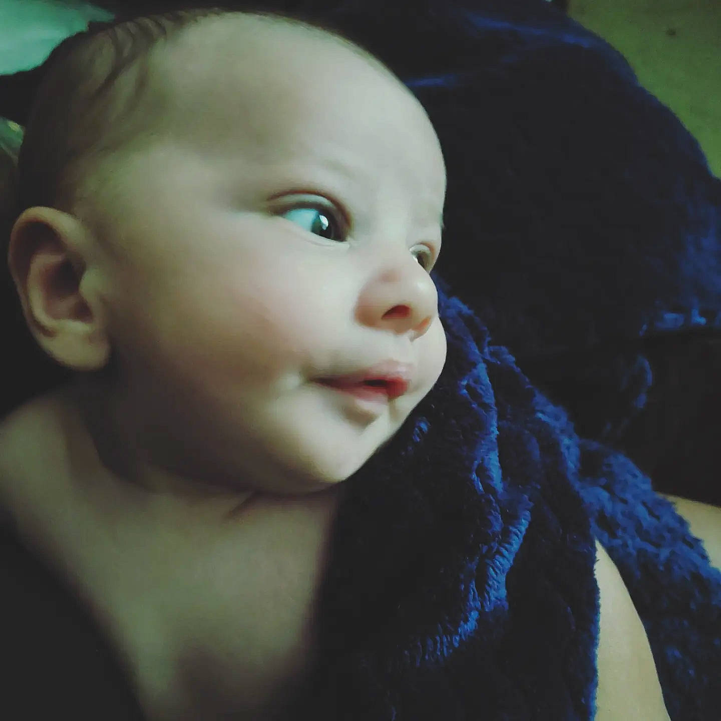 Draven is registered to the contest to win money with this photo: art, cheek, child, doll, ear, electric_blue, eyebrow, eyelash, fashion_accessory, flash_photography, forehead, fur, human_body, iris, jaw, lip, neck, nose, person, toy