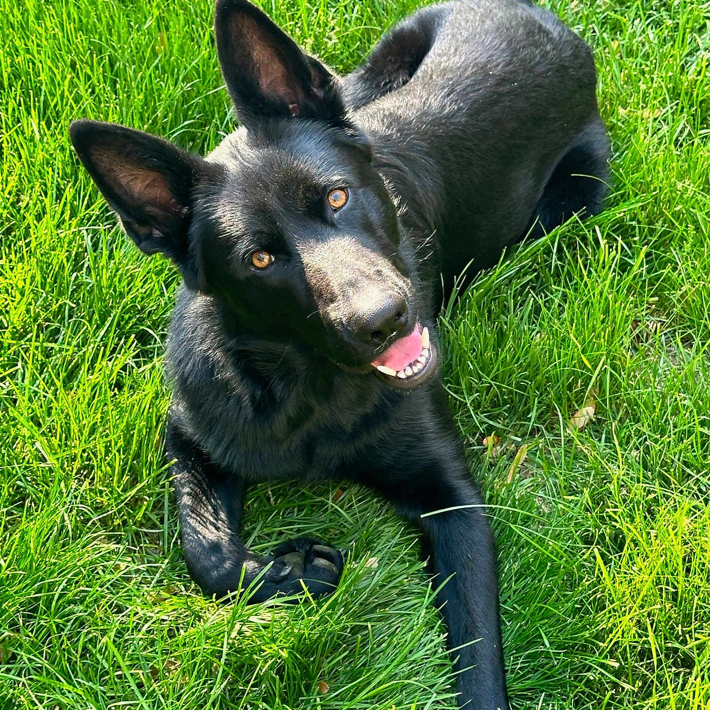 Odin