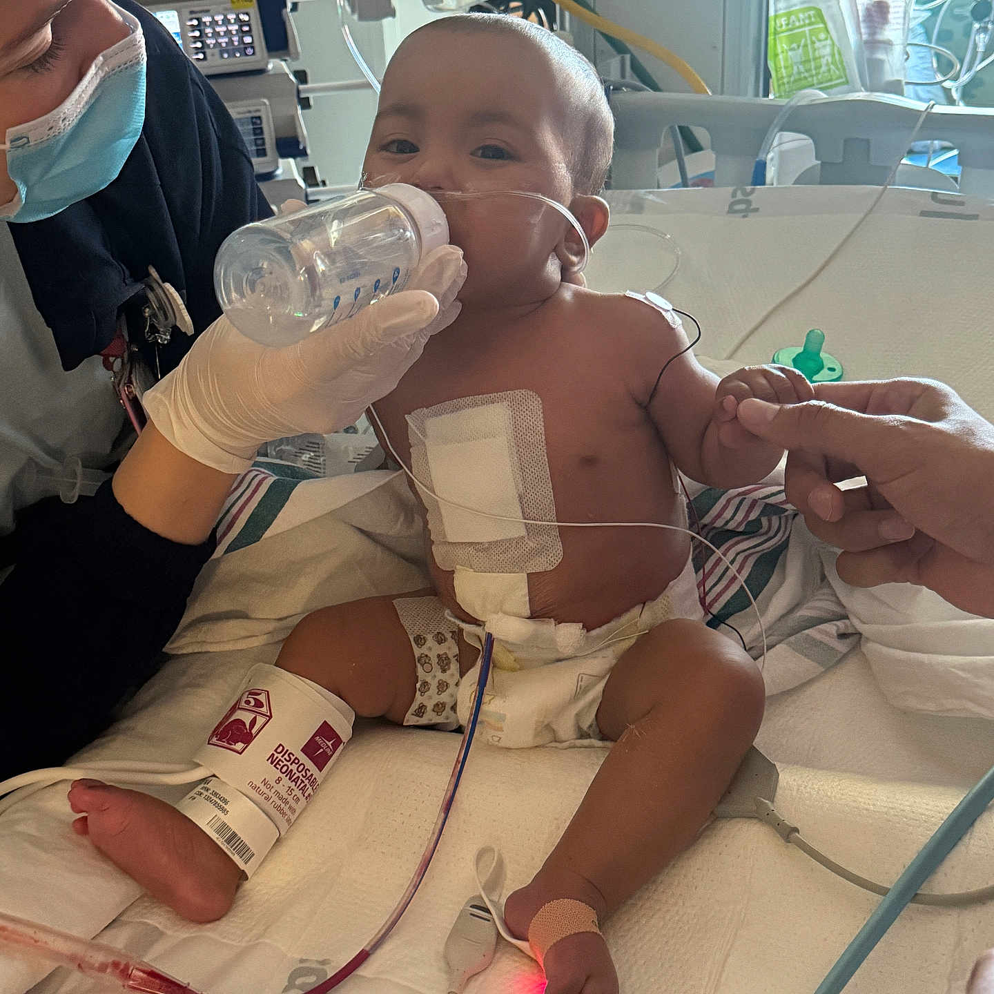Elena Rose joined the competition — help win amazing prizes! baby, bandage, bed, caregiver, child, diaper, feeding_bottle, gloves, hand_holding, healthcare, hospital, infant, mask, medical_care, medical_equipment, medical_tape, monitoring_wires, patient, person, treatment