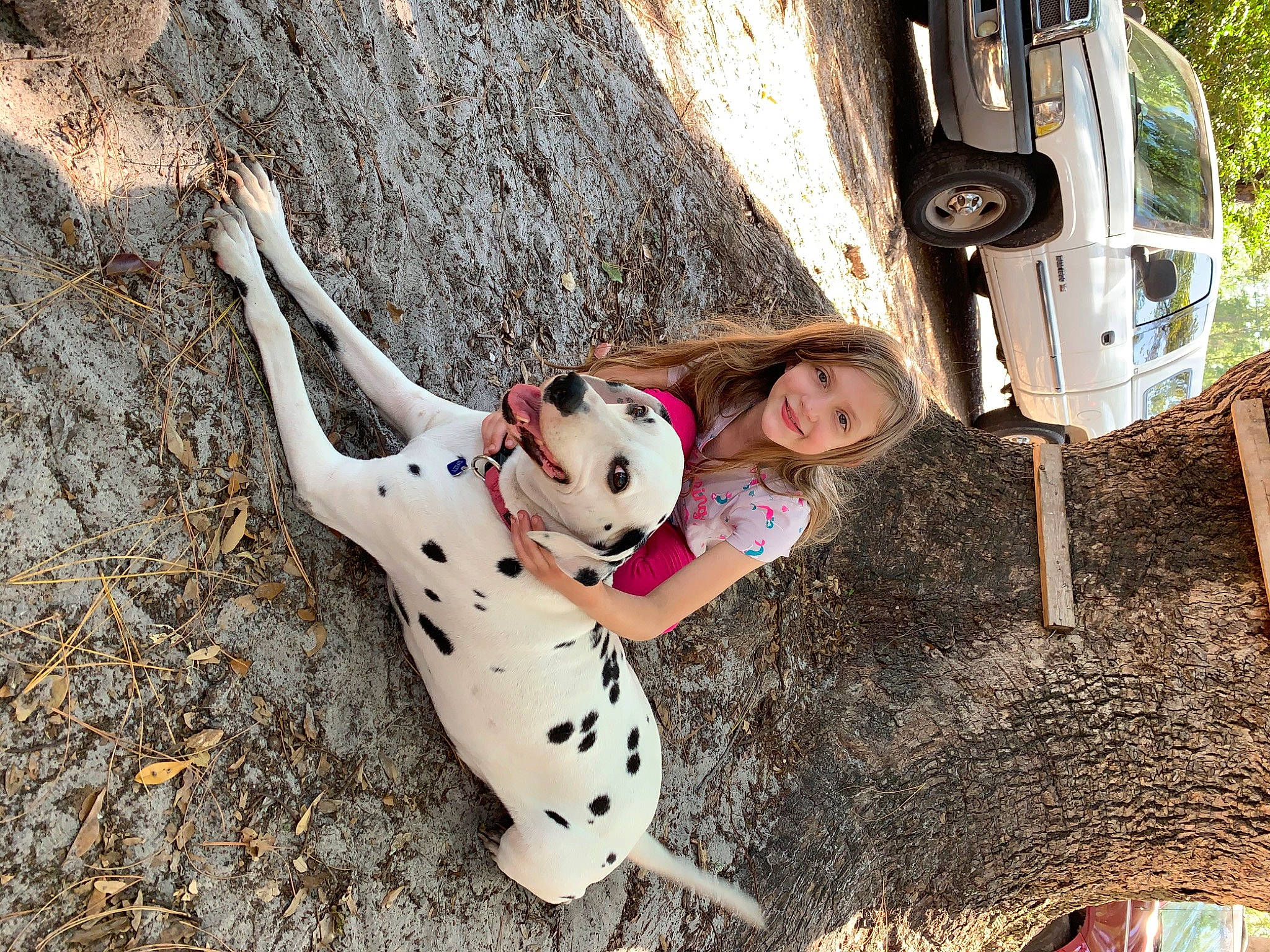 Ellianna is registered to the contest to win money with this photo: adventure, automotive_tire, car, carnivore, climbing, companion_dog, fun, joy, leg, leisure, mammal, person, plant, recreation, rock, soil, sport_climbing, tire, toy, tree