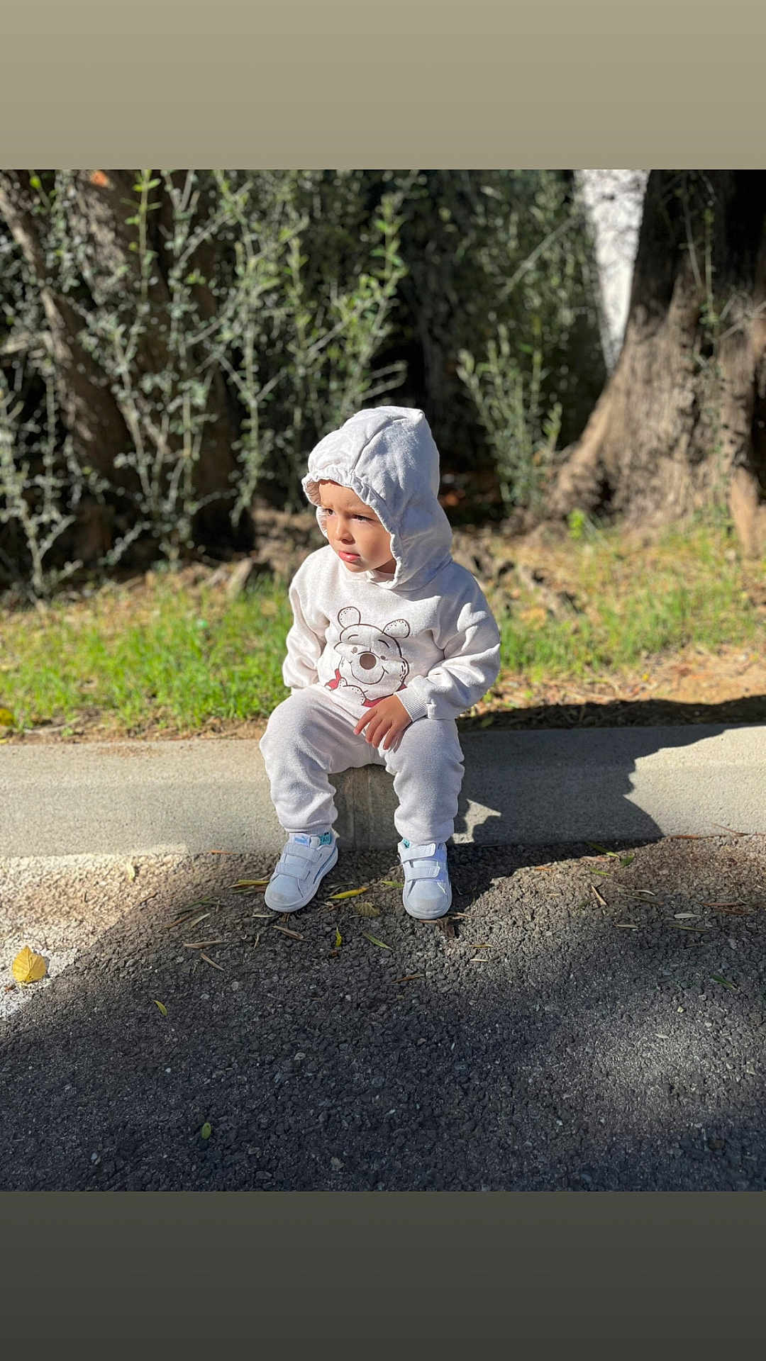 Lino a rejoint le concours — aidez-le/la à gagner de superbes lots ! toddler, child, hoodie, white_clothing, sitting, outdoor, sidewalk, curb, trees, greenery, sunlight, shadow, casual, footwear, contemplative, nature, park, young_child, casual_wear, daylight