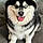 Rex