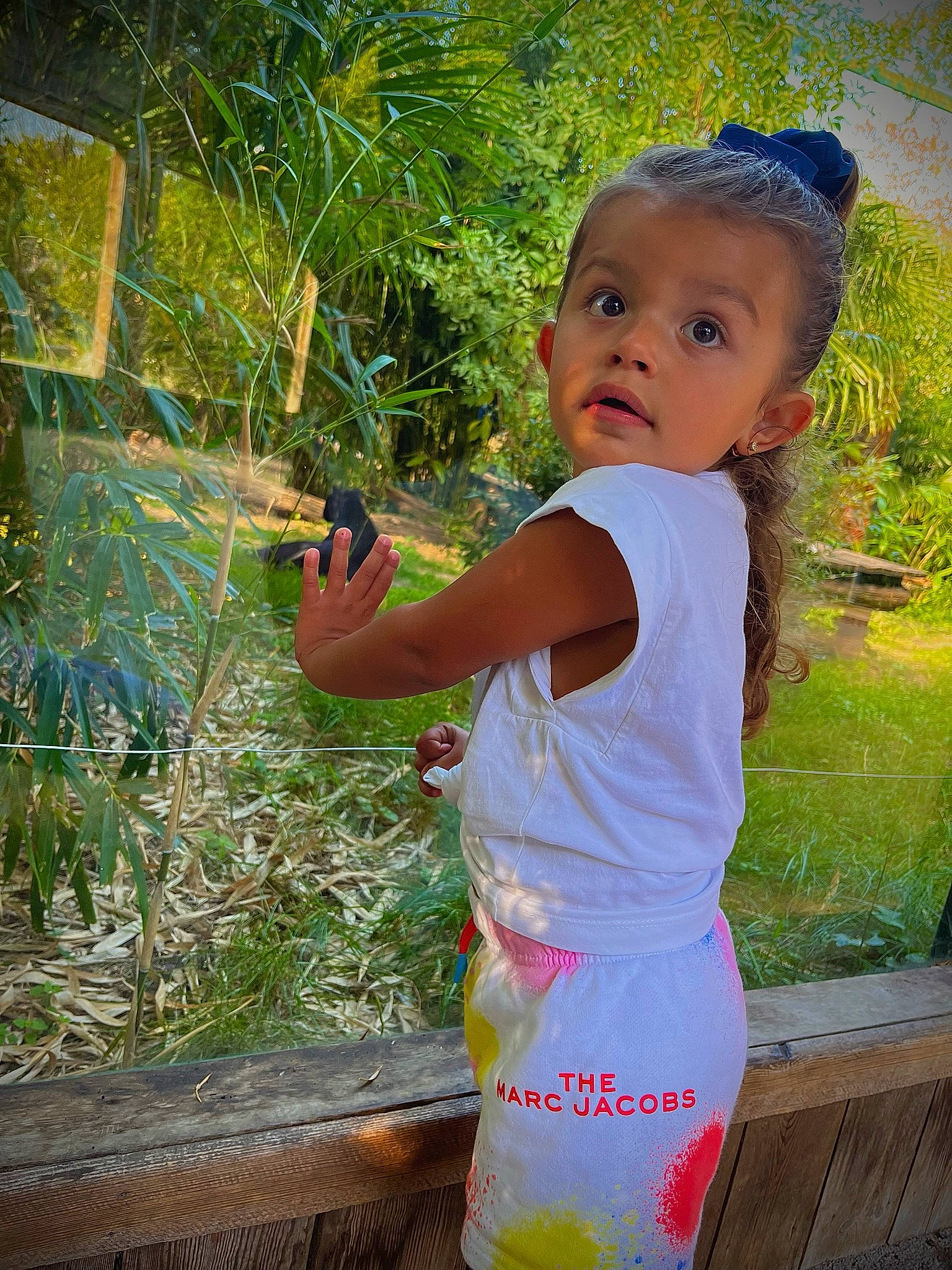 Amy participe au concours pour gagner de l'argent avec cette photo : baby, baby_toddler_clothing, child, electric_blue, fun, garden, grass, happy, leisure, magenta, people_in_nature, person, plant, play, surprise, t_shirt, toddler, tree, vacation, yard