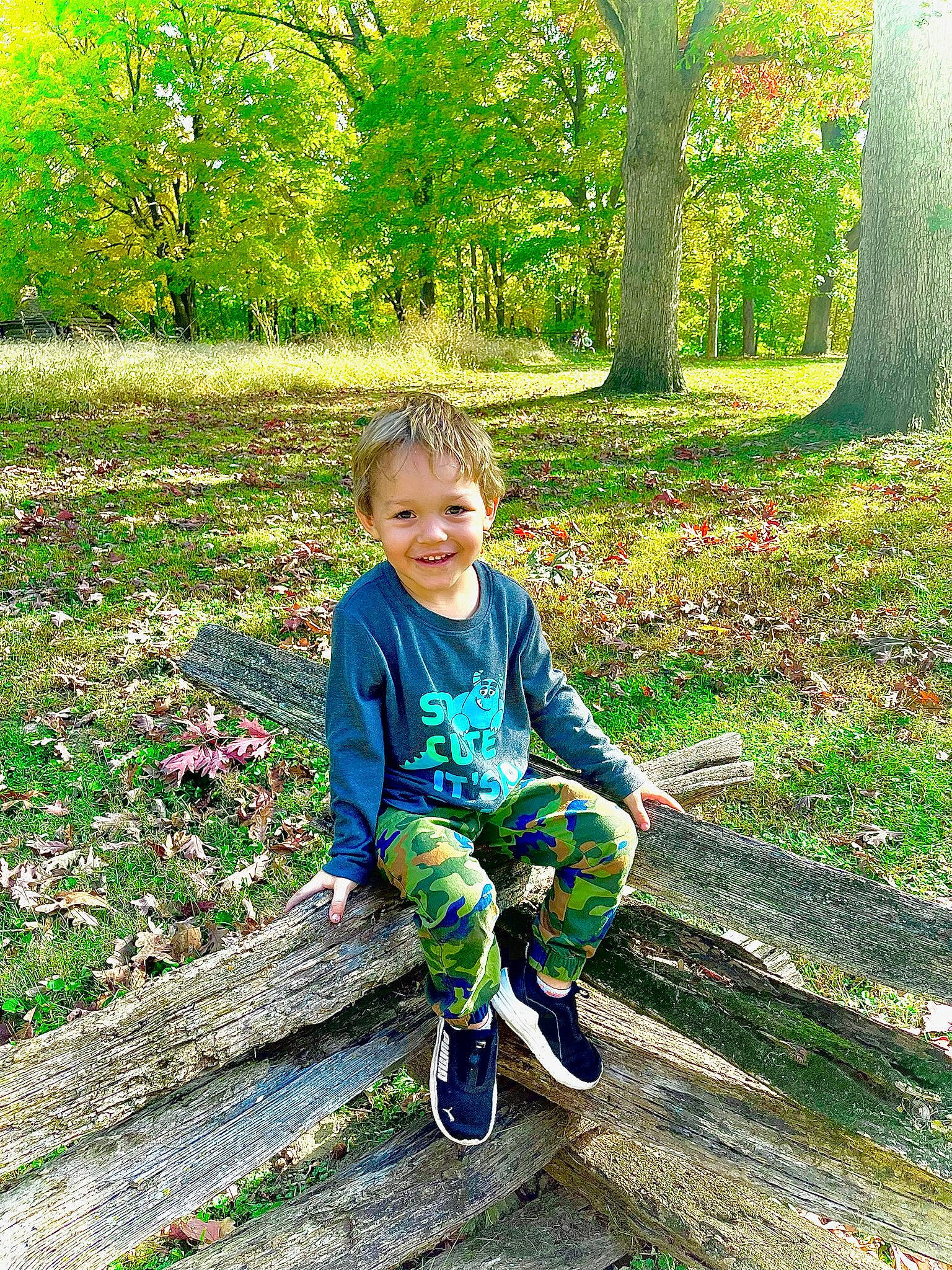 Elijah is registered to the contest to win money with this photo: baby_toddler_clothing, child, deciduous, electric_blue, forest, grass, green, groundcover, happy, joy, leisure, natural_environment, natural_landscape, people_in_nature, person, plant, recreation, smile, terrestrial_plant, toddler