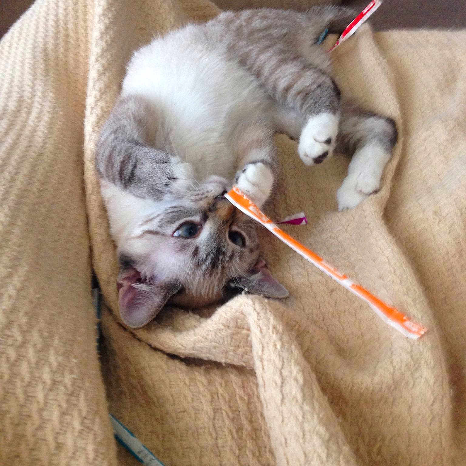 Eve is registered to the contest to win money with this photo: