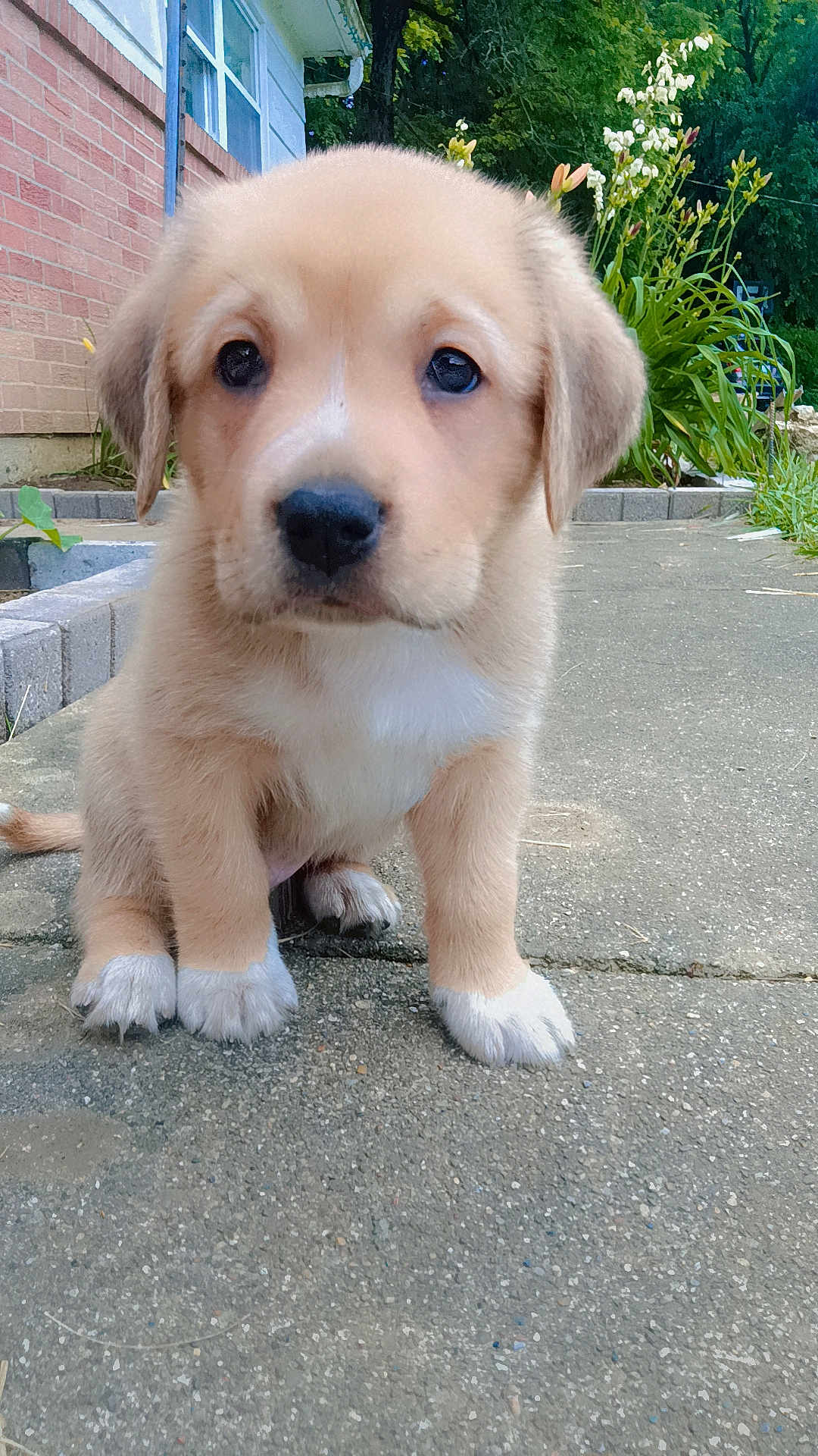 Max